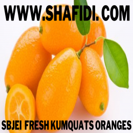 FRESH KUMQUATS ORANGES